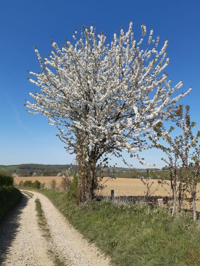 Casa Della Nonna 2 Simpelveld